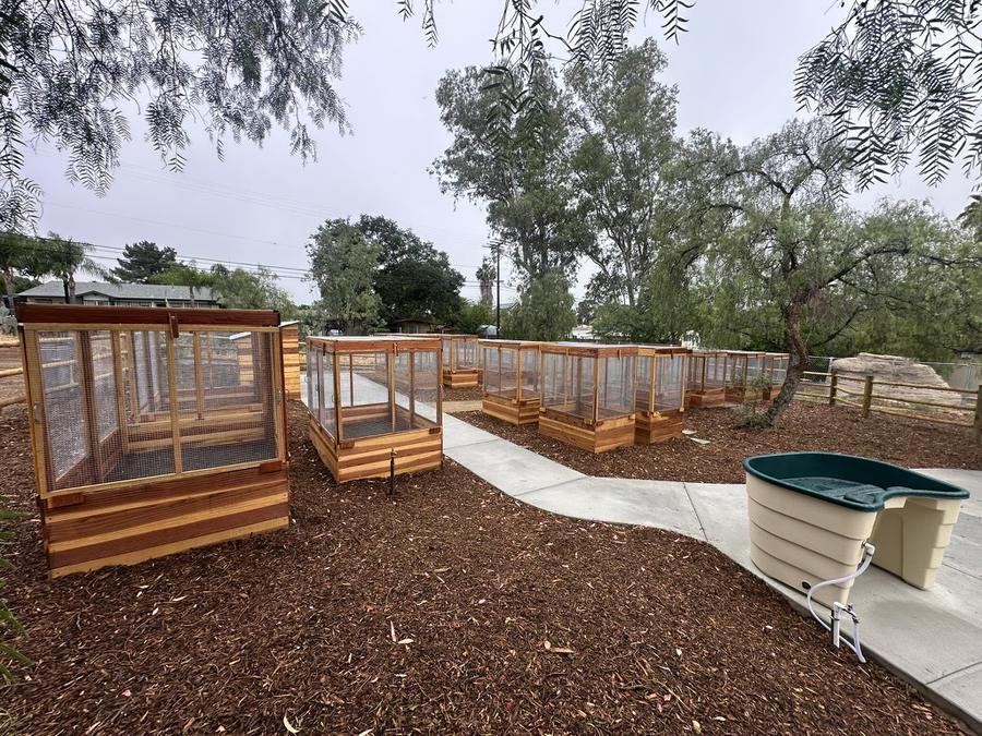 Collier Park planter boxes