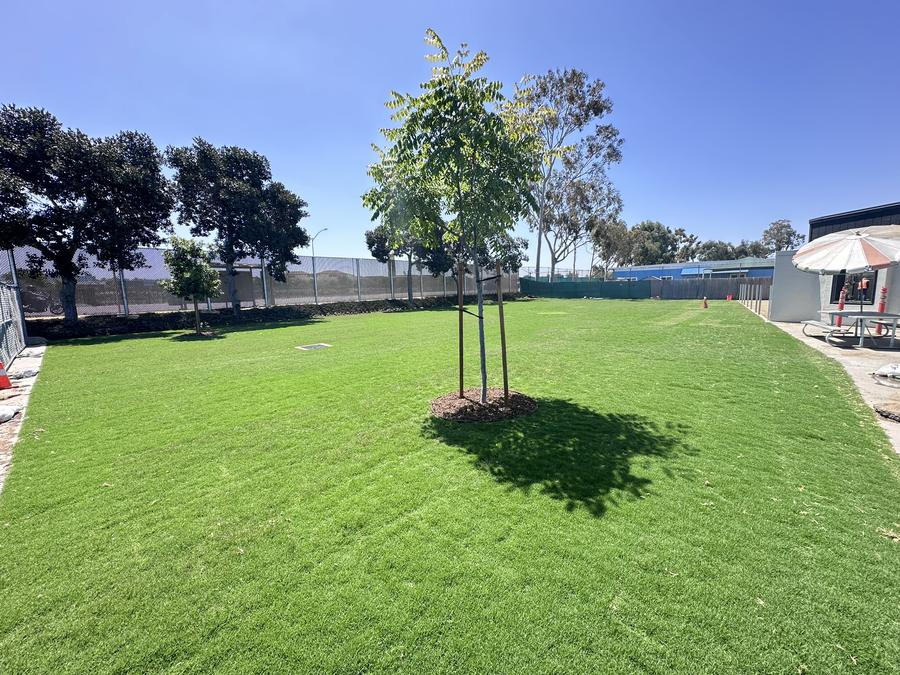 Walker lawn