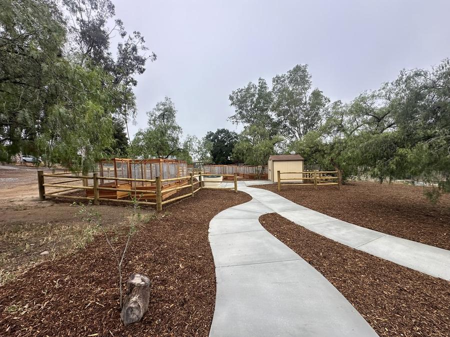 Collier Park pathway entry